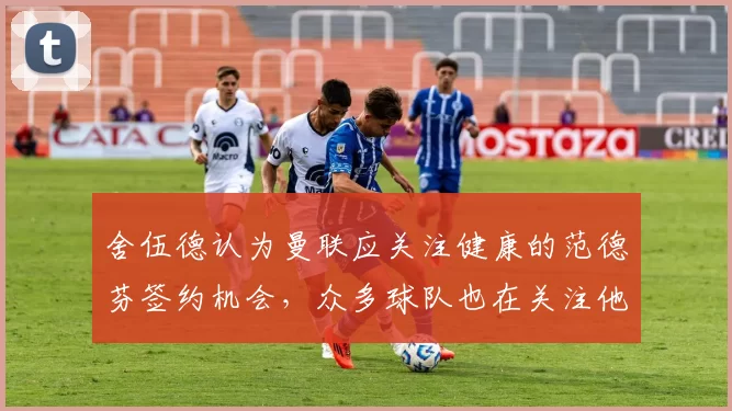 舍伍德认为曼联应关注健康的范德芬签约机会，众多球队也在关注他
